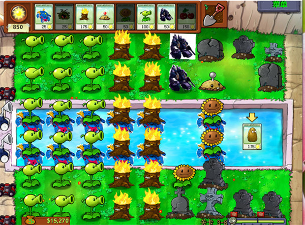 植物大战僵尸95版