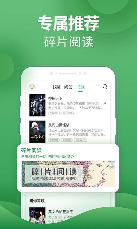 皮皮书