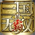 真三国无双霸官方版