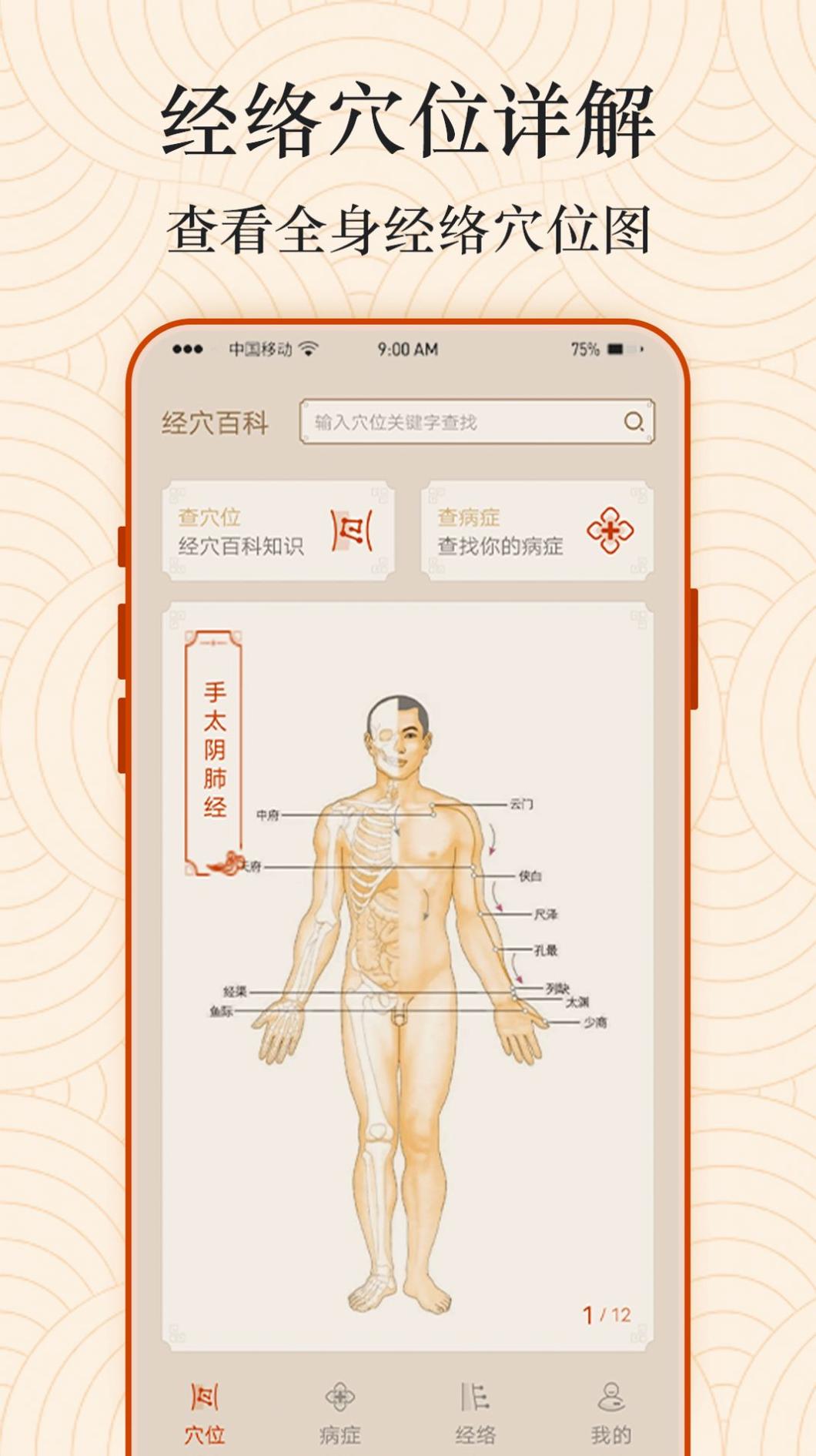 Ai经络穴位图截图0