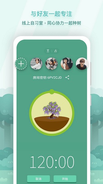 forest专注森林截图1