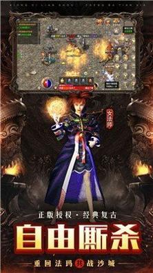 盛大热血传奇截图0