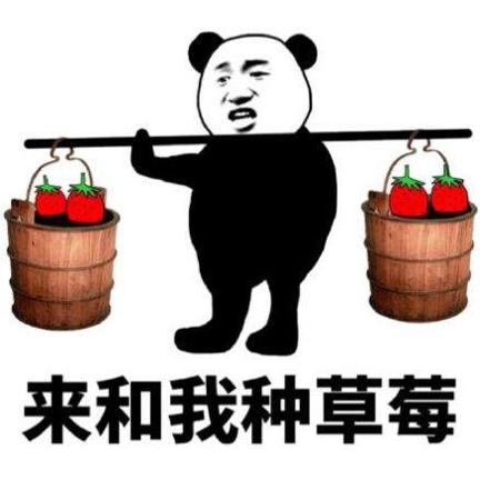 花有什么好种的来和我种草莓表情包截图1