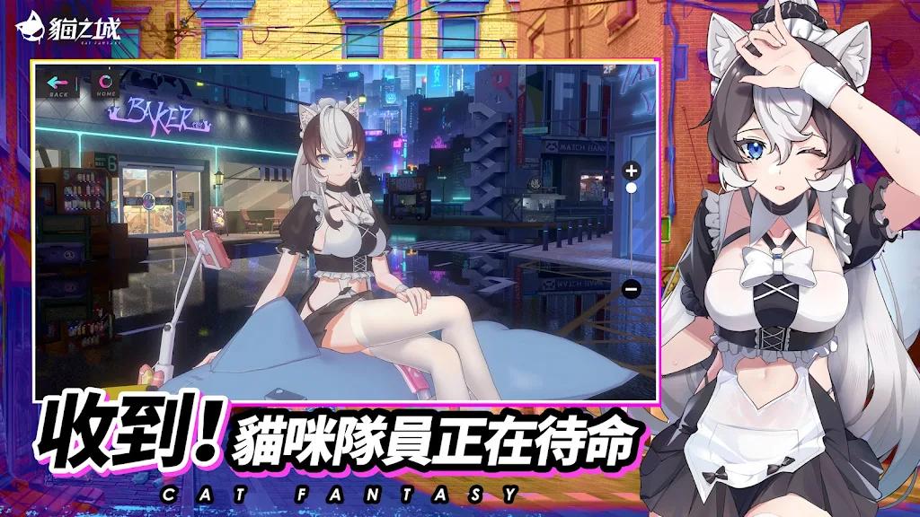 猫之城台服截图3