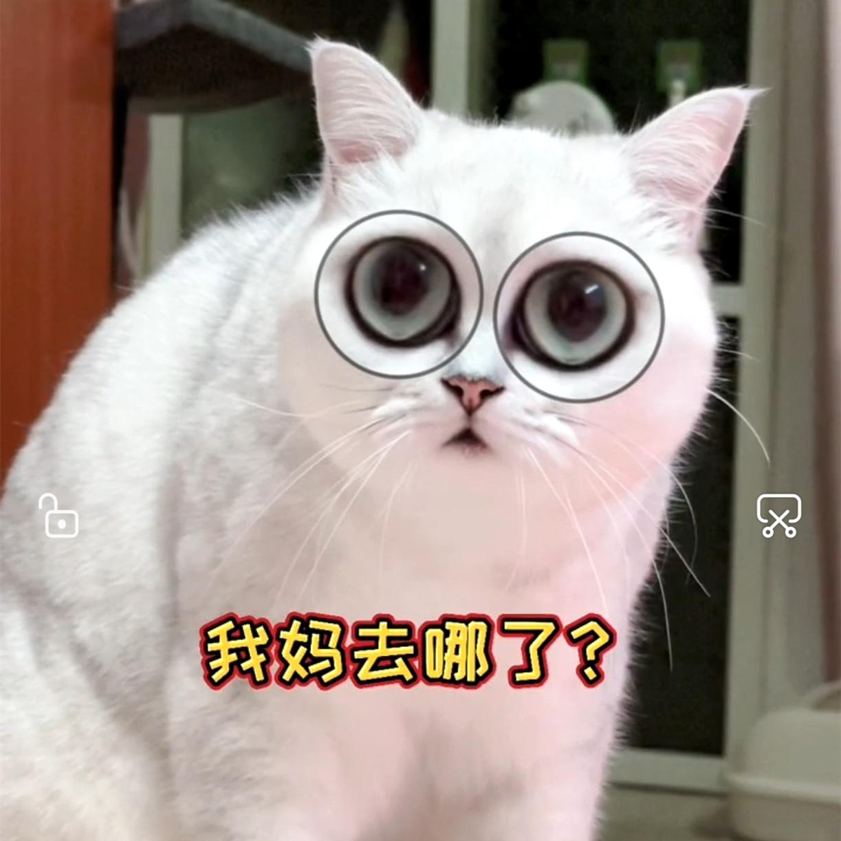 抖音最火的眼睛瞪得像铜铃特效截图1