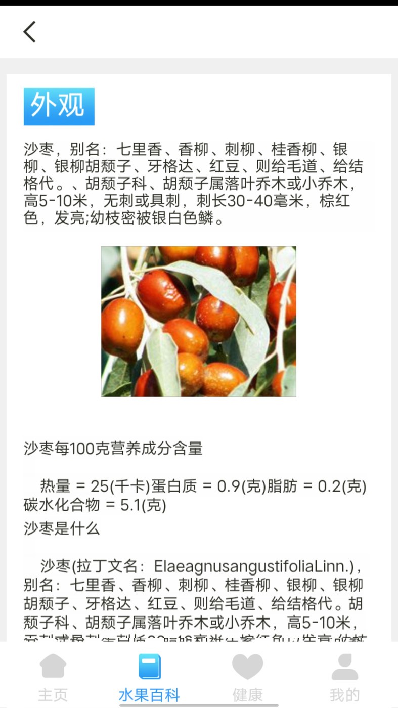 口袋水果截图2