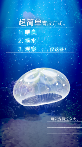 治愈的养成水母 中文版截图2