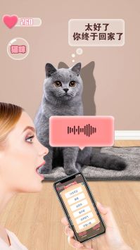 猫咪语言翻译器截图2