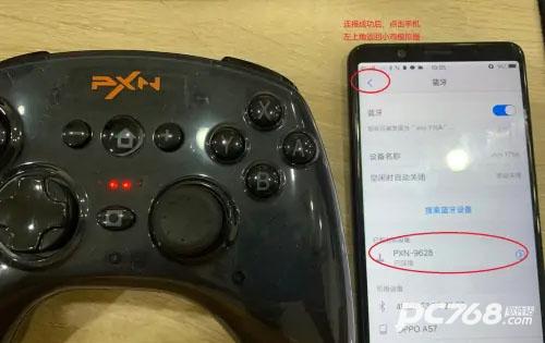 小鸡模拟器最新官方版
