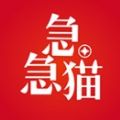 急急猫