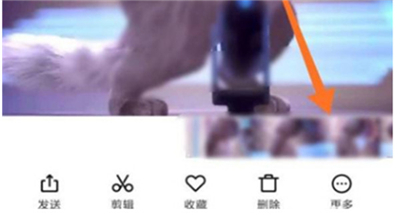 小红书平台