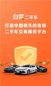 白菜二手车平台