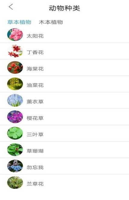 品植