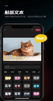 剪映蚂蚁呀嘿特效