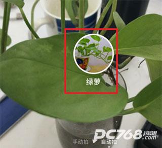 度娘app