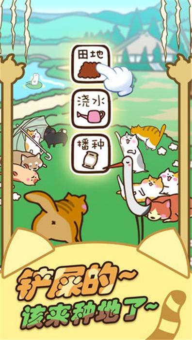 行走喵星人截图3