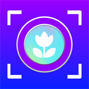 万物识图高手