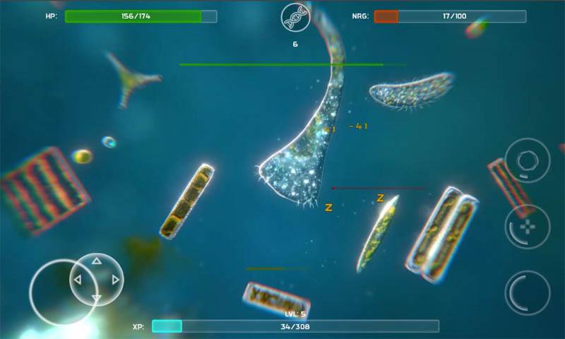 孢子的起源手谈汉化中文中文版  v3.3.4