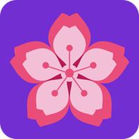 晓樱