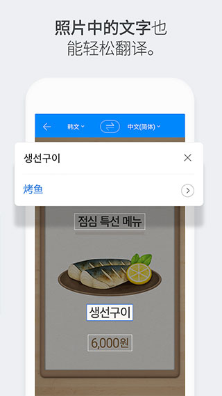 papago翻译软件