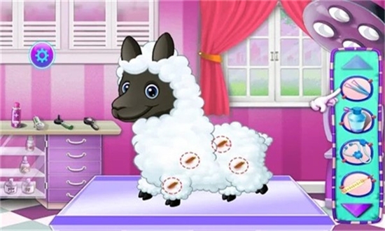 Alpaca Pet Care(羊驼宠物护理安卓版)截图1