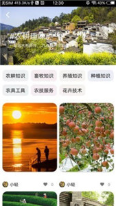 轻游互联