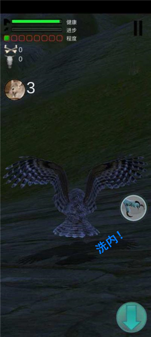 猫头鹰狩猎之旅