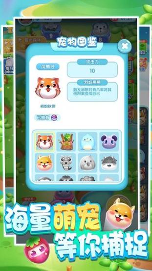 一起来捉宠2截图3