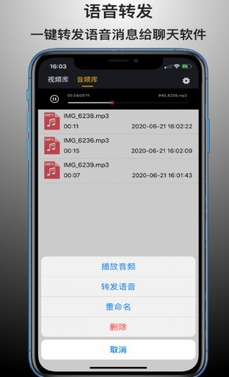语音导出能手截图2