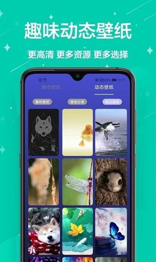 主题君.jpg