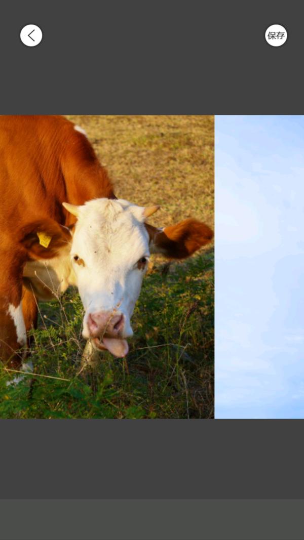 江湖快拼 2020-07-25 10:52