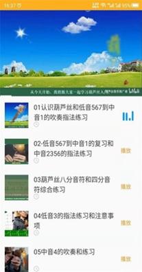 最美葫芦丝.jpg
