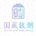 国藏数潮数字藏品