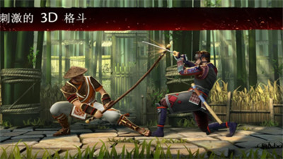 暗影格斗3冬季假日