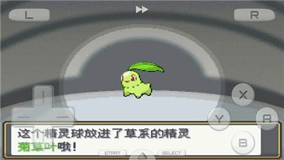 口袋妖怪心金 2024-06-25 15:08