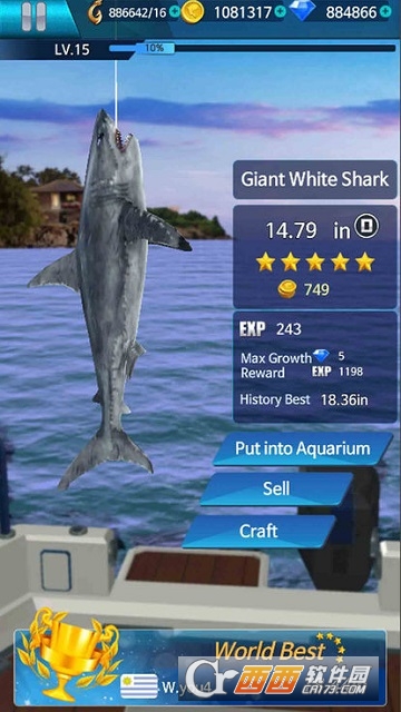 钓鱼锦标赛(Fishing Championship) v1.2.11 安卓版