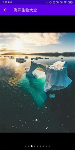 海洋生物大全截图1