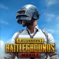pubg绝地求生国际服手游测试服最新版