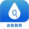 腕式血氧记录仪