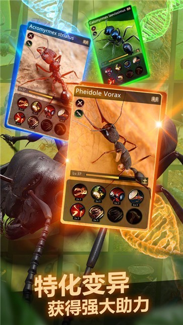 小小蚂蚁  v21.434.0