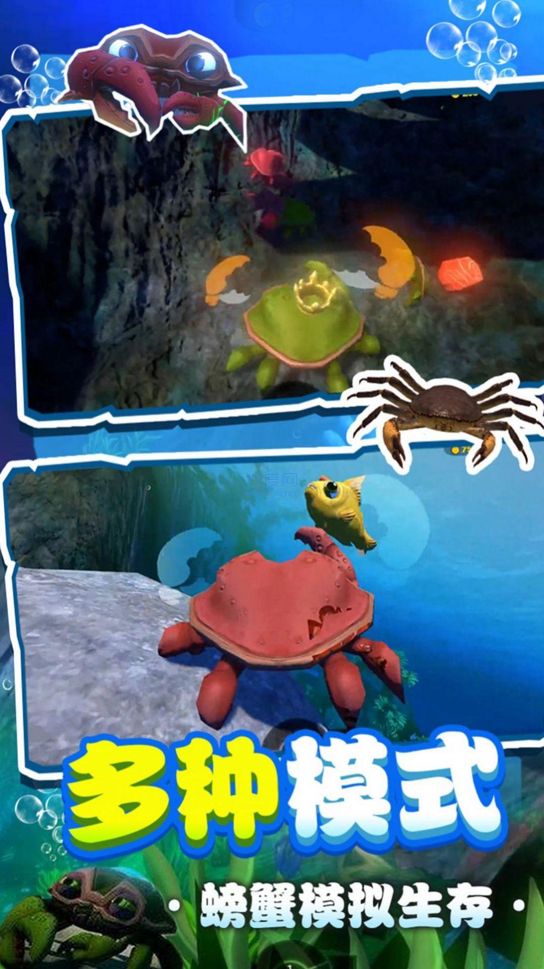 Crab Punch截图2