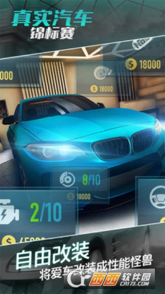 真实汽车锦标赛 v1.0.1安卓版