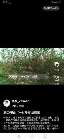 棋妙柯城