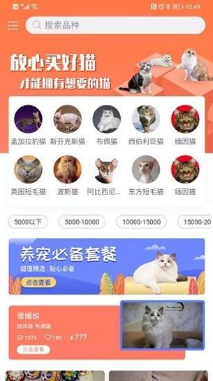 世宠截图2