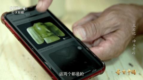 落叶电视