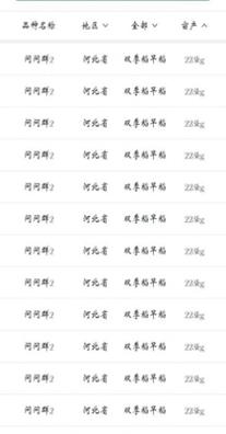 种稻得稻.jpg