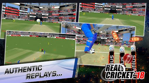 真实板球19游戏中文手机版  v5.5.1