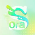 Sorai视频编辑app最新版 
