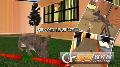 野兔生存模拟器游戏 v1.0.2 安卓版