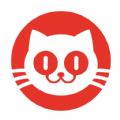 猫眼实时票房app最新版 